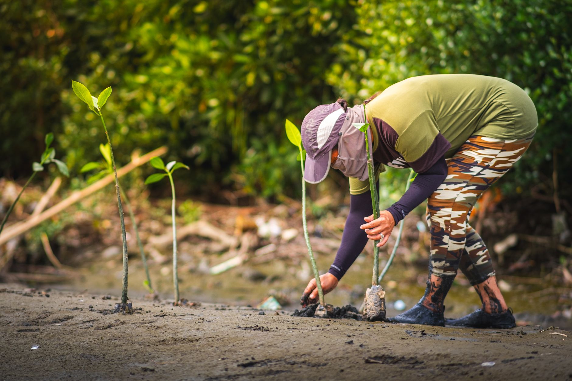 Planting