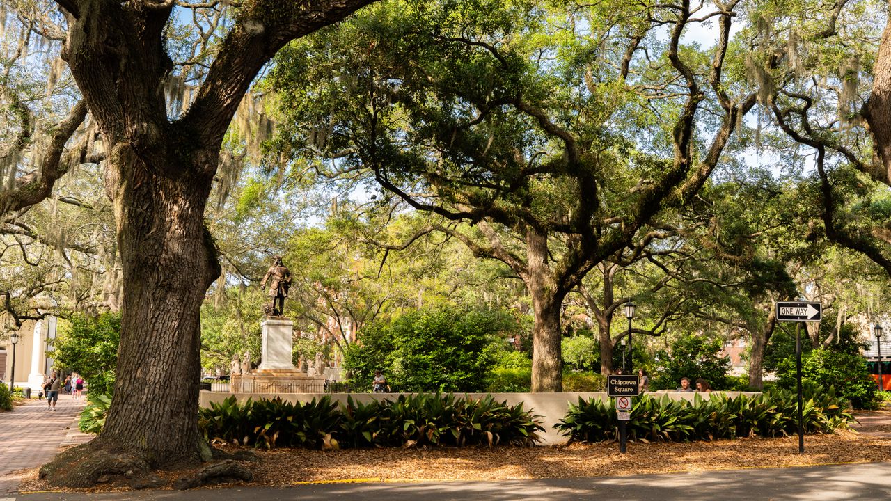 Tree Preservation